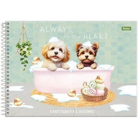 CADERNO CARTOGRAFIA CD FURFRIENDS 